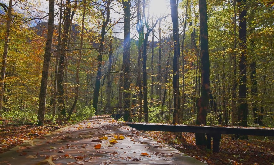 Biogradska Gora istorija