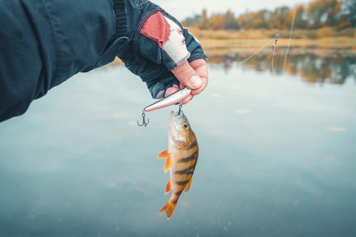 osoba drži upecanu ribu i udicu u ruci